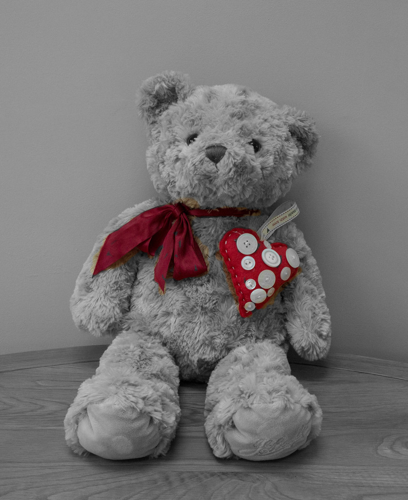 Teddy with a big heart by busylady