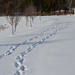 Fresh footprints.. by kdrinkie