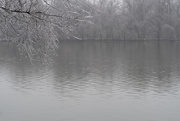 14th Feb 2021 - Ice Storm '21 - The James