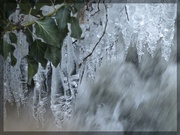 12th Feb 2021 - icy stalactites