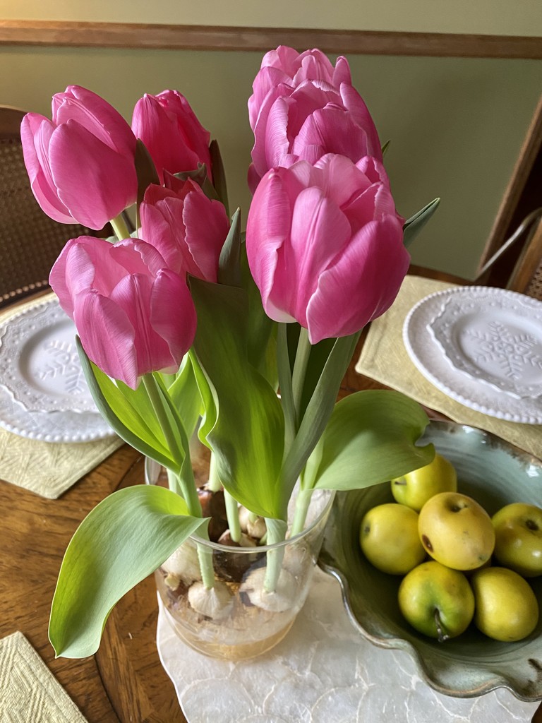 Tulips for Valentines  by calm