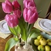 Tulips for Valentines  by calm