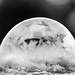 Frozen Bubble by lynne5477