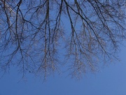 15th Feb 2021 - Dreaming of blue skies and sunshine...