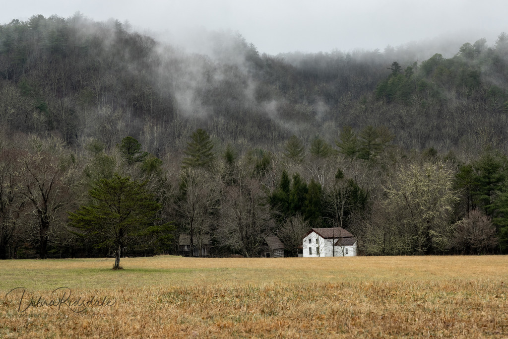 Cades Cove, Great Smoky Mountains by dridsdale