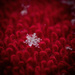 ~Snowflake~ by crowfan