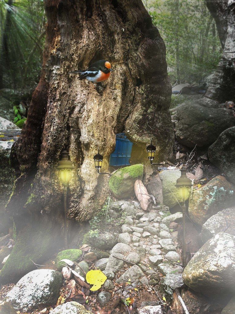 Rainforest fairyland by pusspup