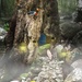 Rainforest fairyland by pusspup