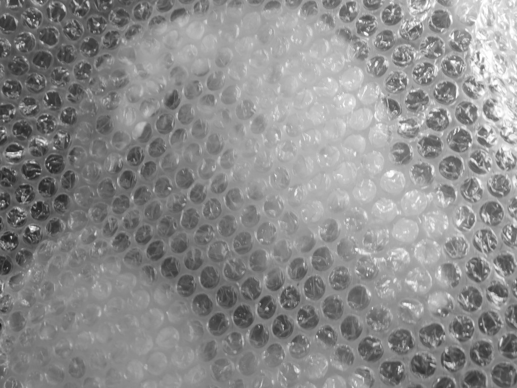 For Get Pushed this week Tim asked me to try bubble-wrap portraits by 365anne