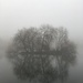 Foggy island by pattyblue