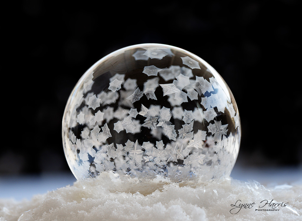 Frozen Bubble II by lynne5477