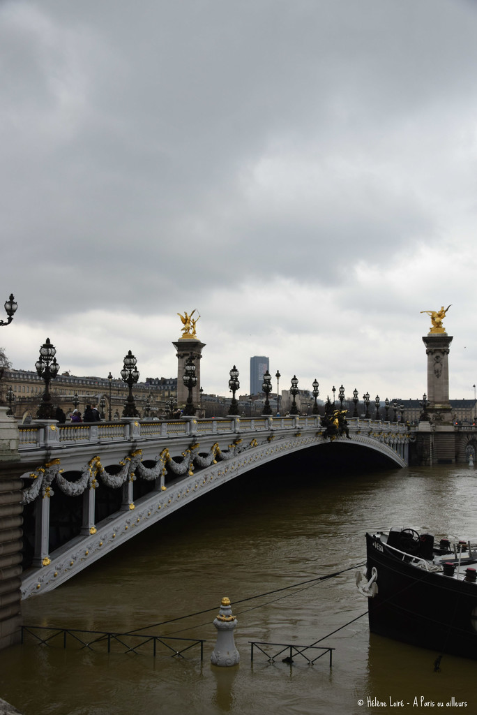 high Seine at Pont Alexandre III by parisouailleurs