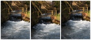 12th Feb 2021 - The Moving Water Conundrum