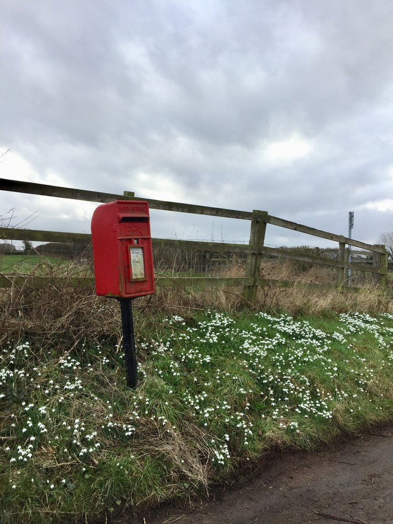 Country postbox by snowy