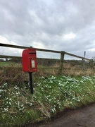 15th Feb 2021 - Country postbox