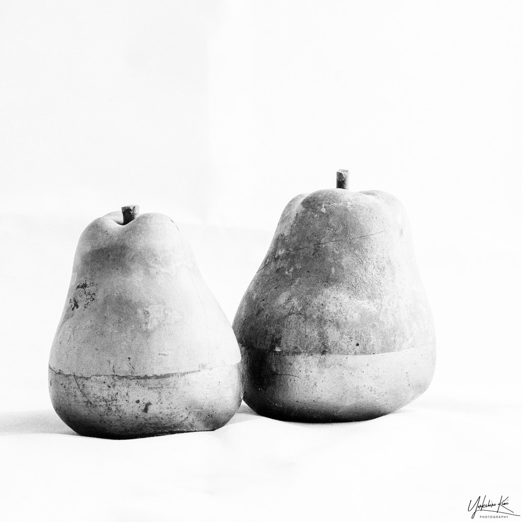 Pears by yorkshirekiwi