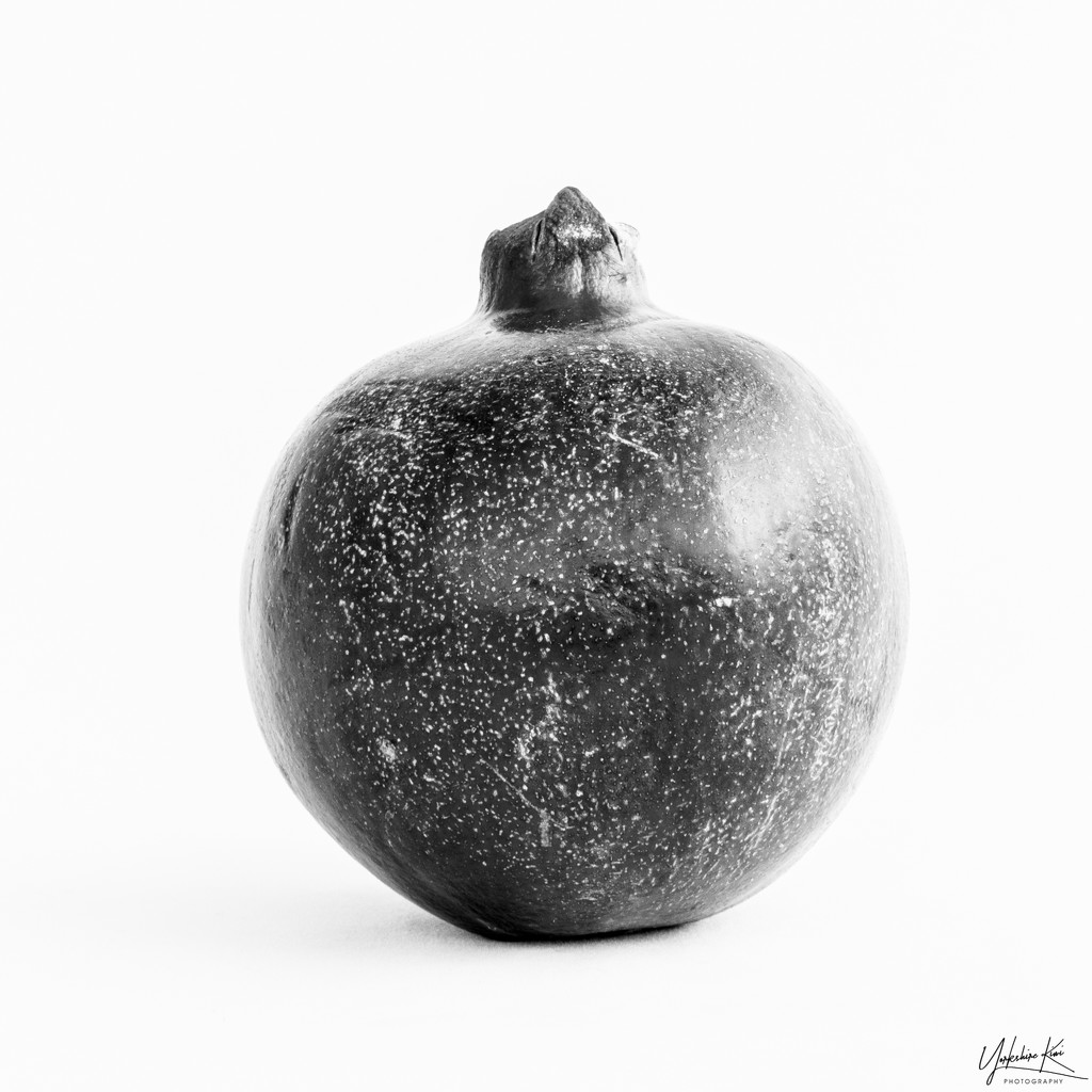Pomegranate by yorkshirekiwi