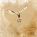 Owl Heart by shepherdmanswife