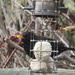 Blackbird again by lellie