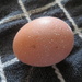 A nice brown egg by lellie