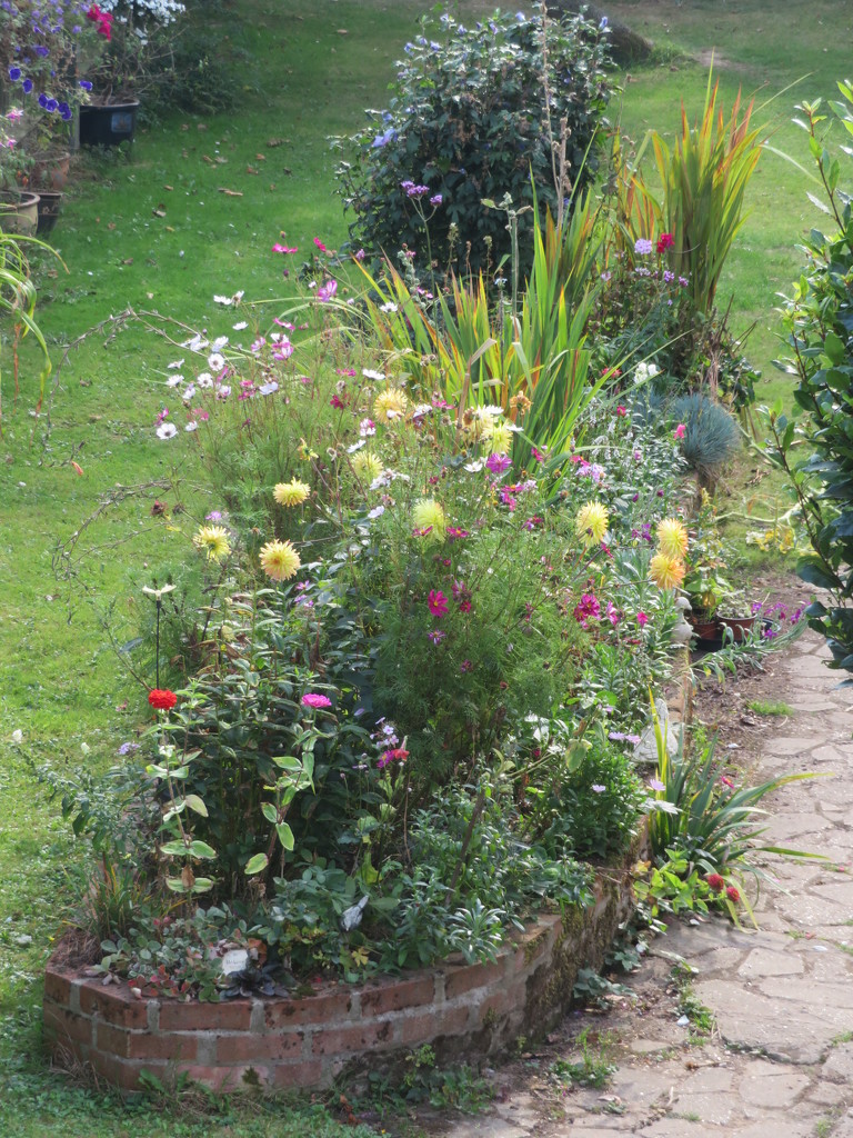 A bit of the garden by lellie