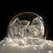 Frozen Bubble III by lynne5477