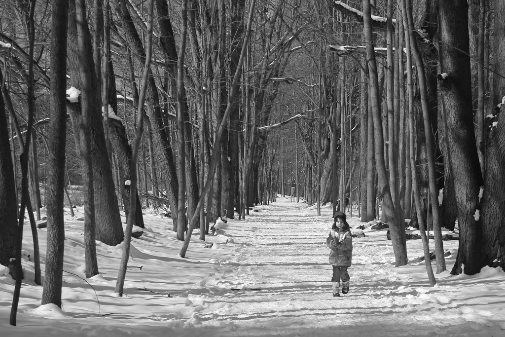 Little Girl in the Big Woods (Flashback) by sarahsthreads