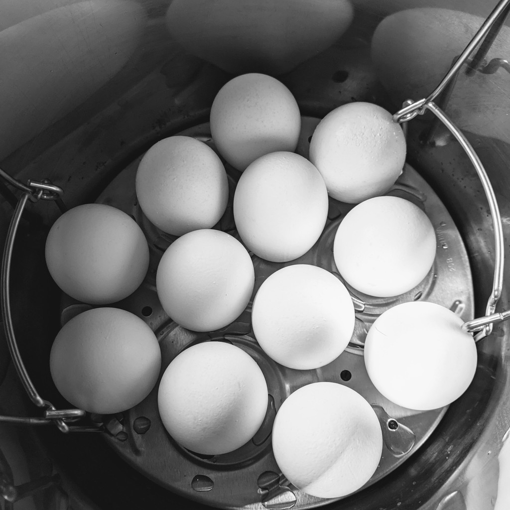 All Your Eggs in One Pot by sarahsthreads