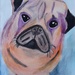 Pug Painting by julie