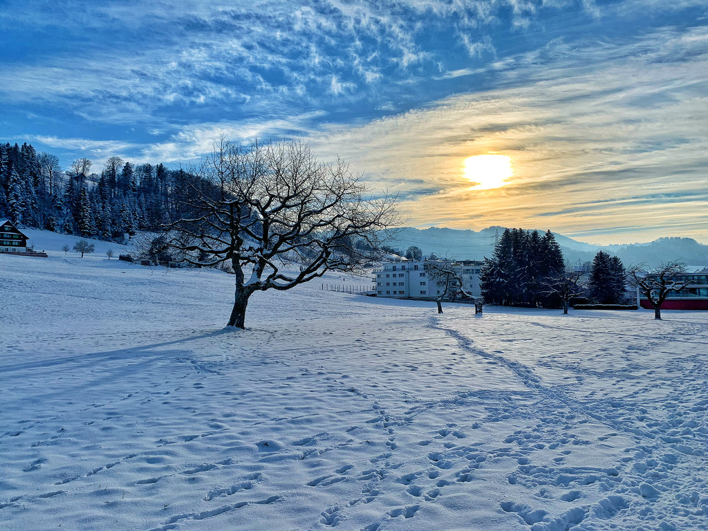 Sunset above the snow.  by cocobella