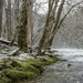 Little River, Smoky Mountains  by dridsdale