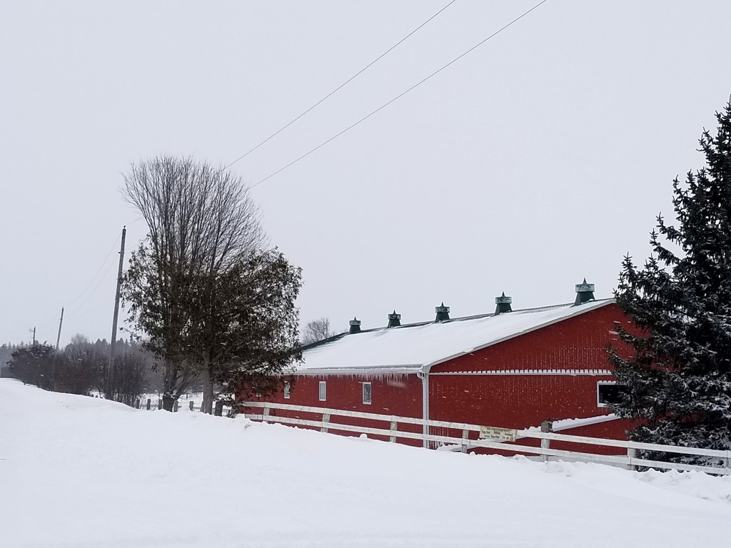 Horse barn in the snow by ljmanning