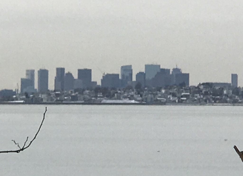 The Boston skyline by mjmaven