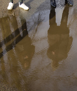 17th Feb 2021 - Reflections and puddles