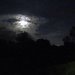 Moonlight by lellie