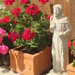 St Francis in the geraniums by lellie