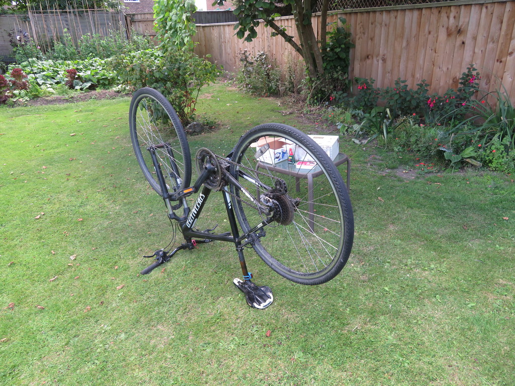 Cycle repairs by lellie