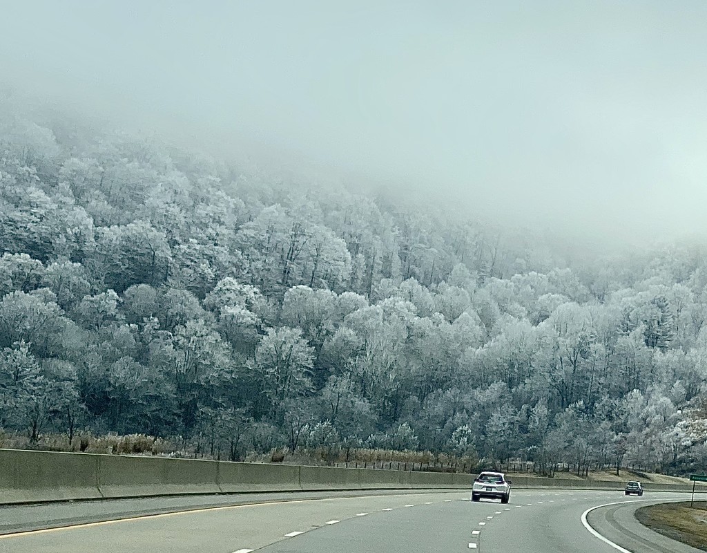 Frozen Fog in the Blue Ridge by calm