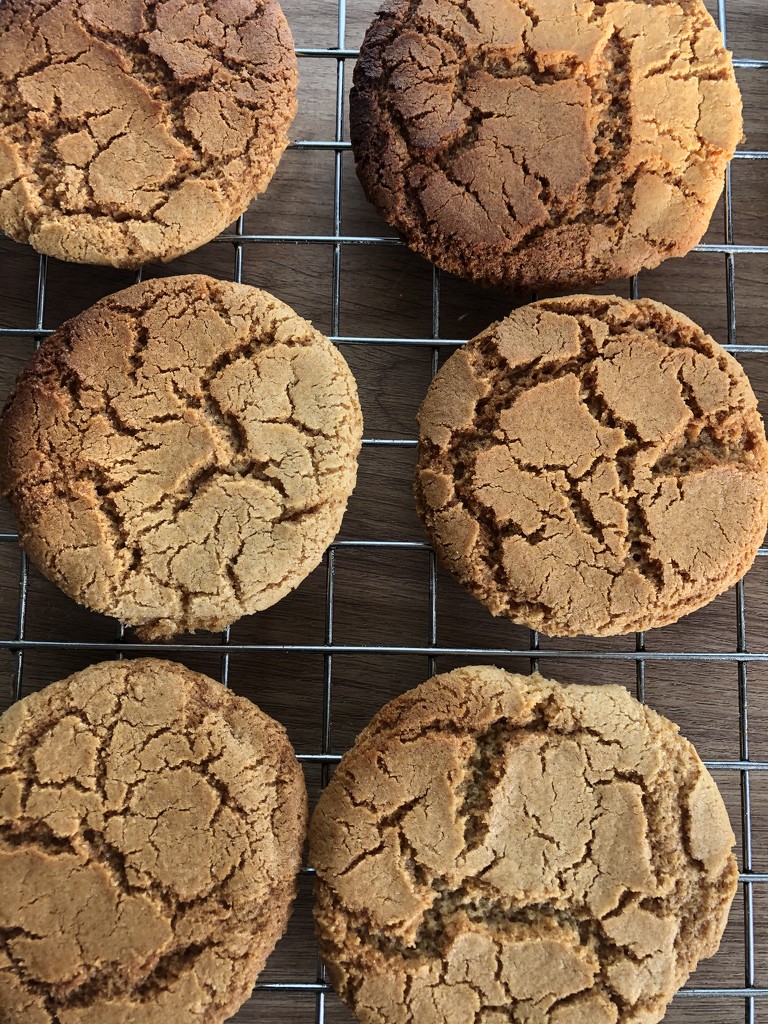 Pauline’s Ginger Biscuits  by cookingkaren