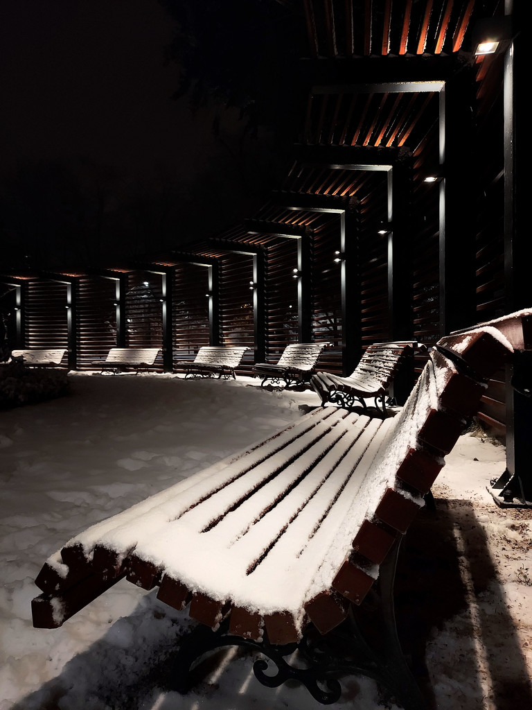 Snow benches by nmamaly