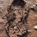 Muddy footprints  by tinley23