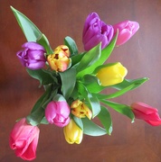 13th Feb 2021 - Market Tulips