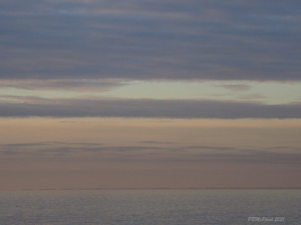 Muted Morning by selkie