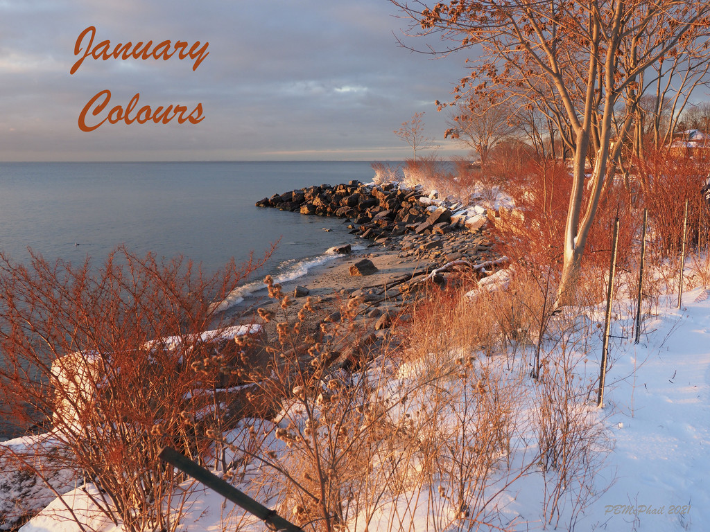 January Colours by selkie