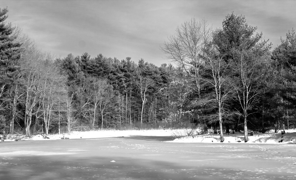 Frozen Pond by tdaug80