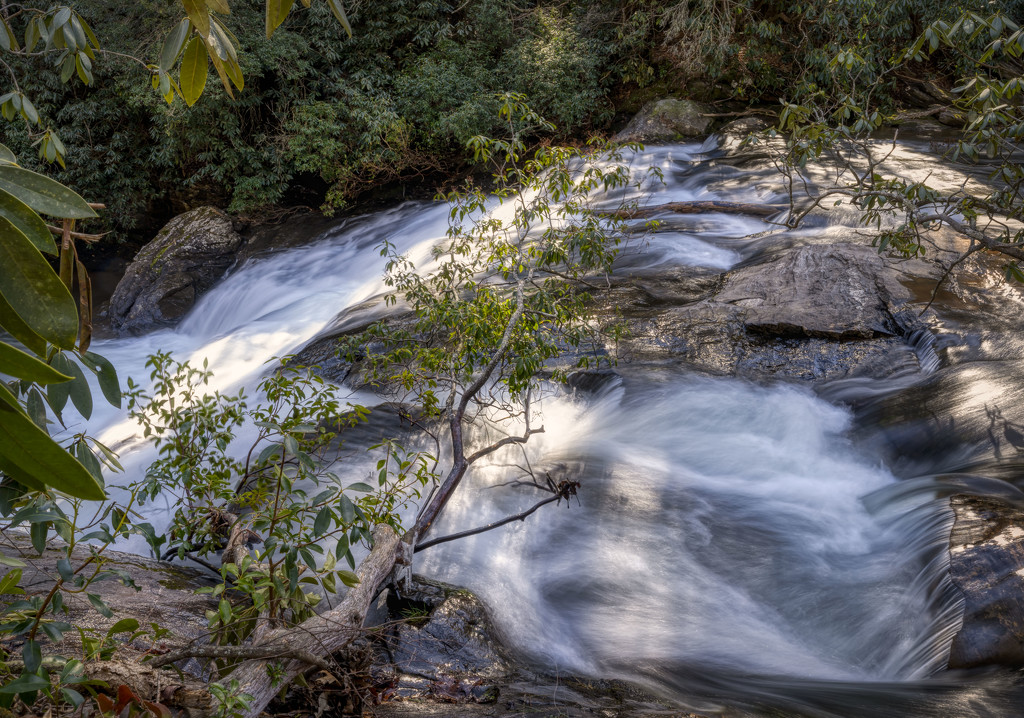 Above the Falls @ Waters Creek by kvphoto