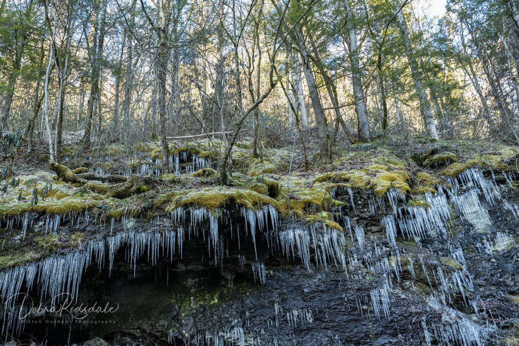 Icicles, rocks, and moss by dridsdale