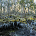 Icicles, rocks, and moss by dridsdale