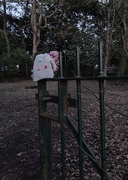 9th Feb 2021 - Lost in the park