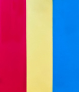 18th Feb 2021 -  Red Yellow Blue